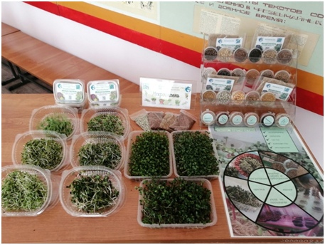 Научный проект  студентов Южно-Уральского ГАУ  стал призёром конкурса «Здоровое питание — наш выбор»