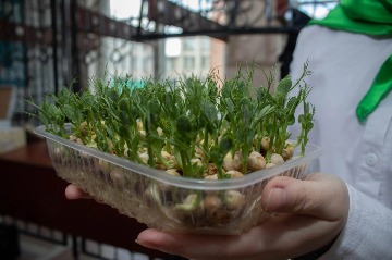 усадьба-2024 (13).jpg