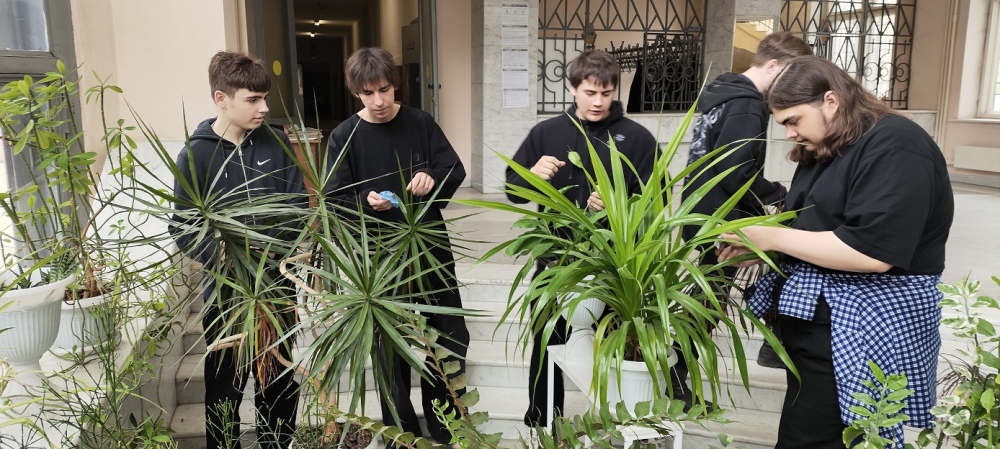 Участники студенческого кружка ИАИ создали фитоколлекцию суккулентов