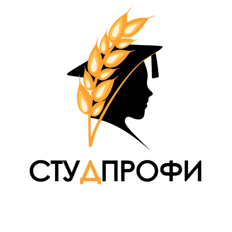 В Челябинской области стартовал конкурс «СтудПрофи» (Для лиц старше 06 лет)