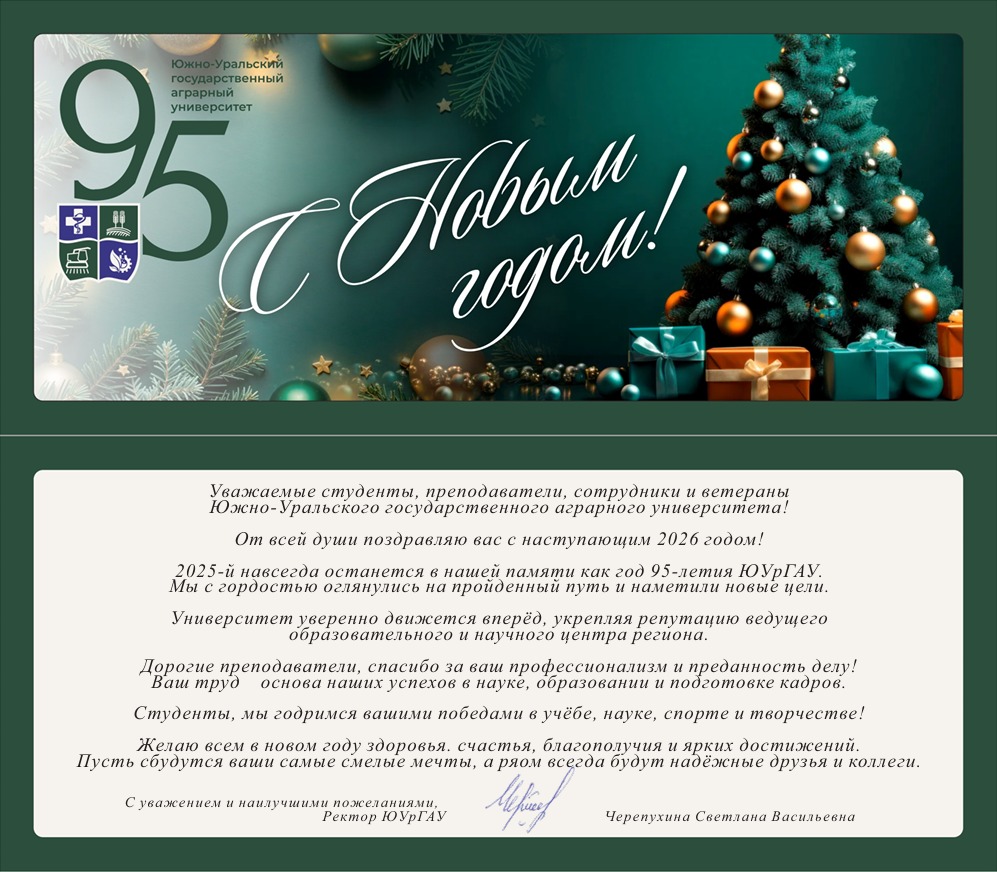 С Новым 2026 годом! 