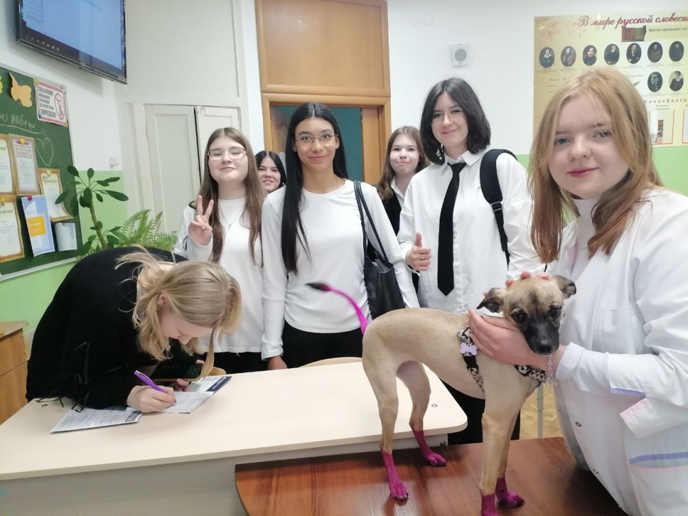 Студенты ЮУрГАУ провели профориентационную встречу в челябинской школе № 15