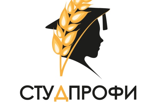 В Челябинской области стартовал конкурс «СтудПрофи» (Для лиц старше 06 лет)