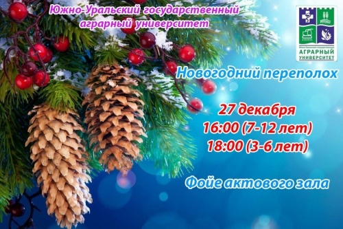 Новогодняя елка для детей сотрудников в ИВМ состоится 27 декабря