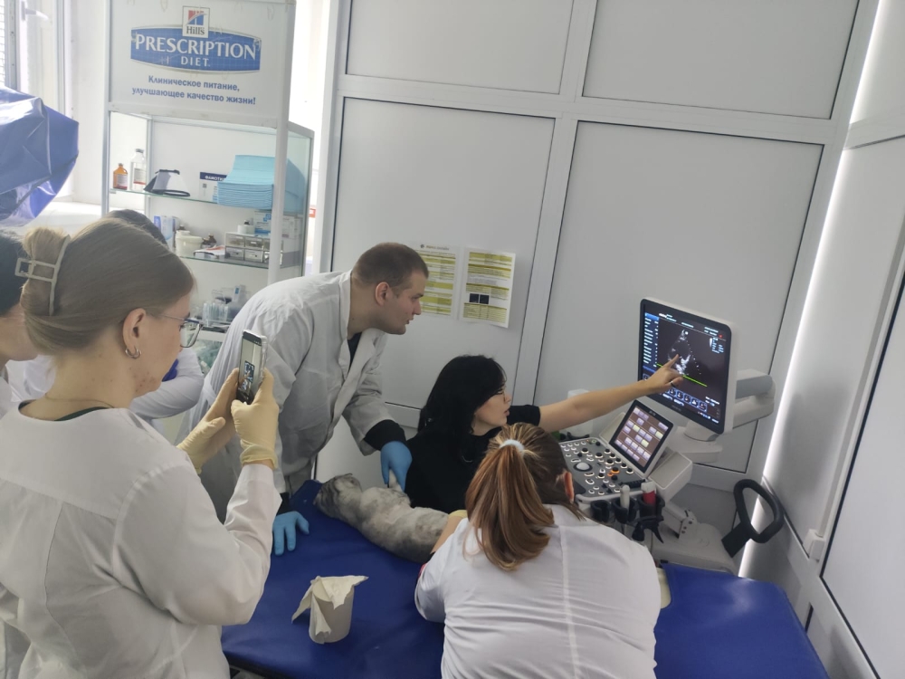 Студенты ЮУрГАУ осваивают современную диагностику в научном кружке «Ветеринарная кардиология»