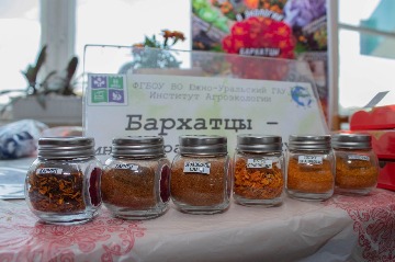 усадьба-2024 (16).jpg