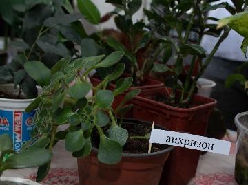 усадьба-2024 (4).jpg