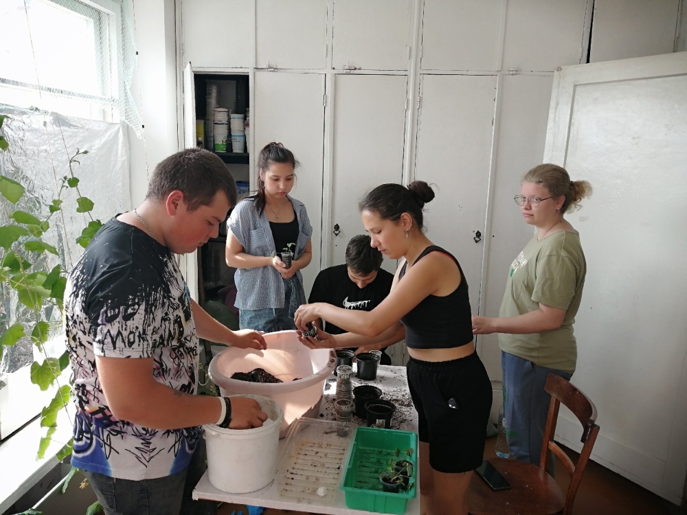 Первокурсники Института агроэкологии проходят ознакомительную практику