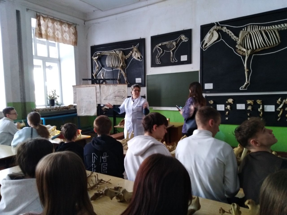 Школьники из Октябрьского района познакомились с профессией ветеринара в Институте ветеринарной медицины ЮУрГАУ