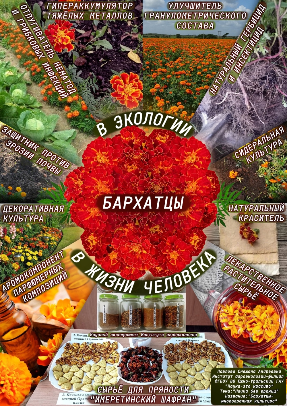 Работа студентки ИАЭ ЮУрГАУ стала бронзовым призёром конкурса «Наука — это красиво»