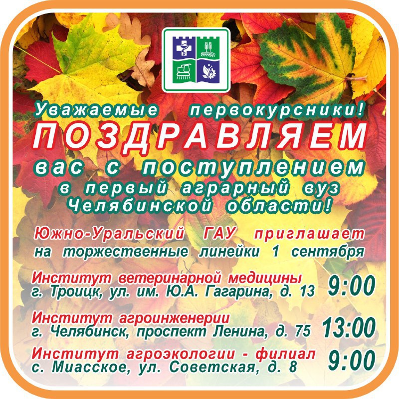 1 сентября в ЮУрГАУ пройдет торжественная линейка